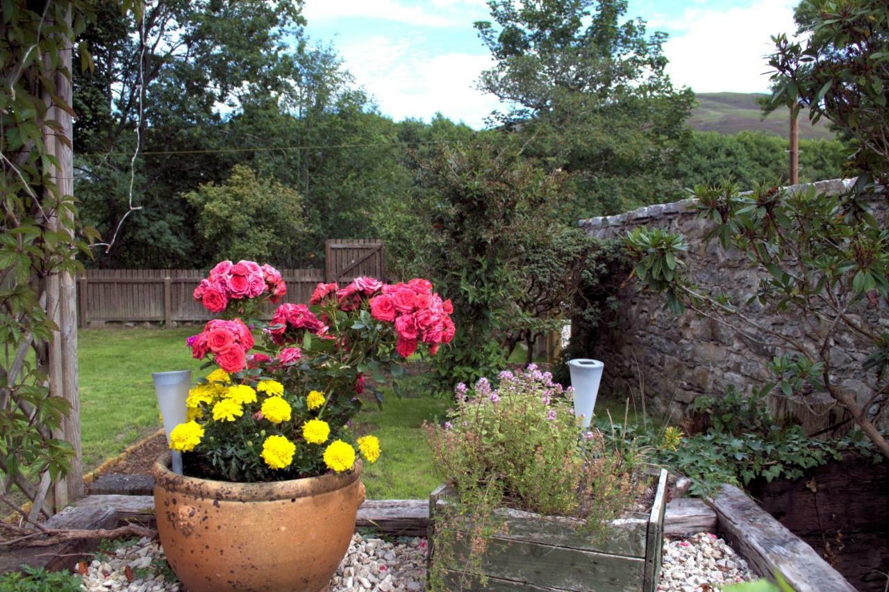 Rosemount Cottage One- Highland Cottage Garve Dış mekan fotoğraf